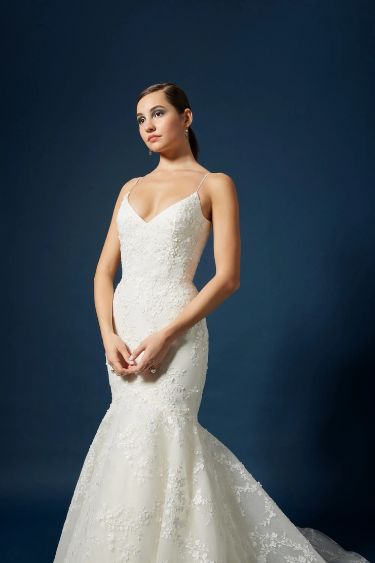 Lazaro 323011