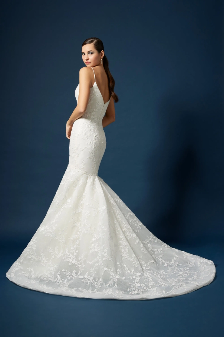 Lazaro 323011