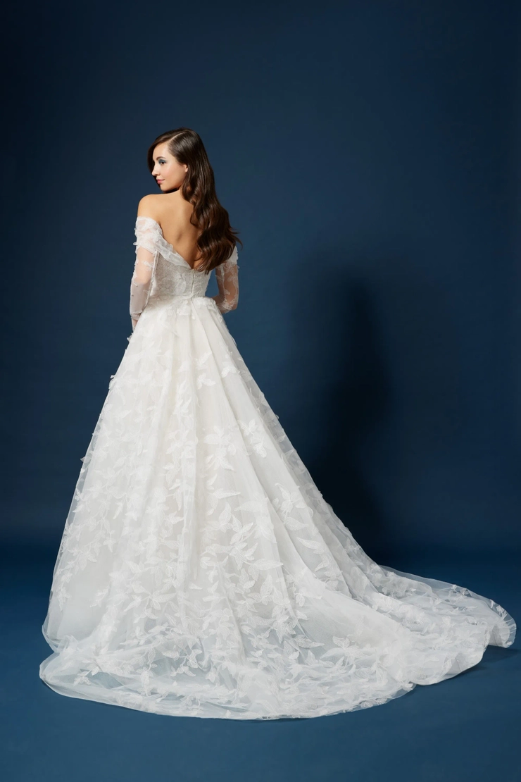 Lazaro 323015