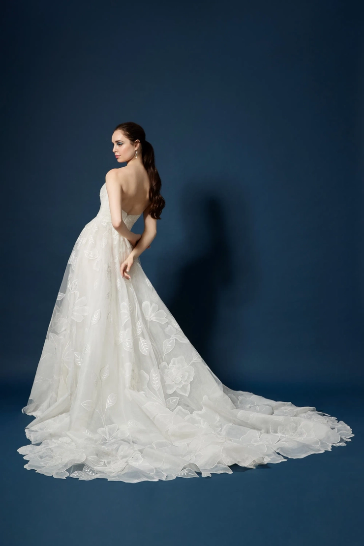 Lazaro 323017
