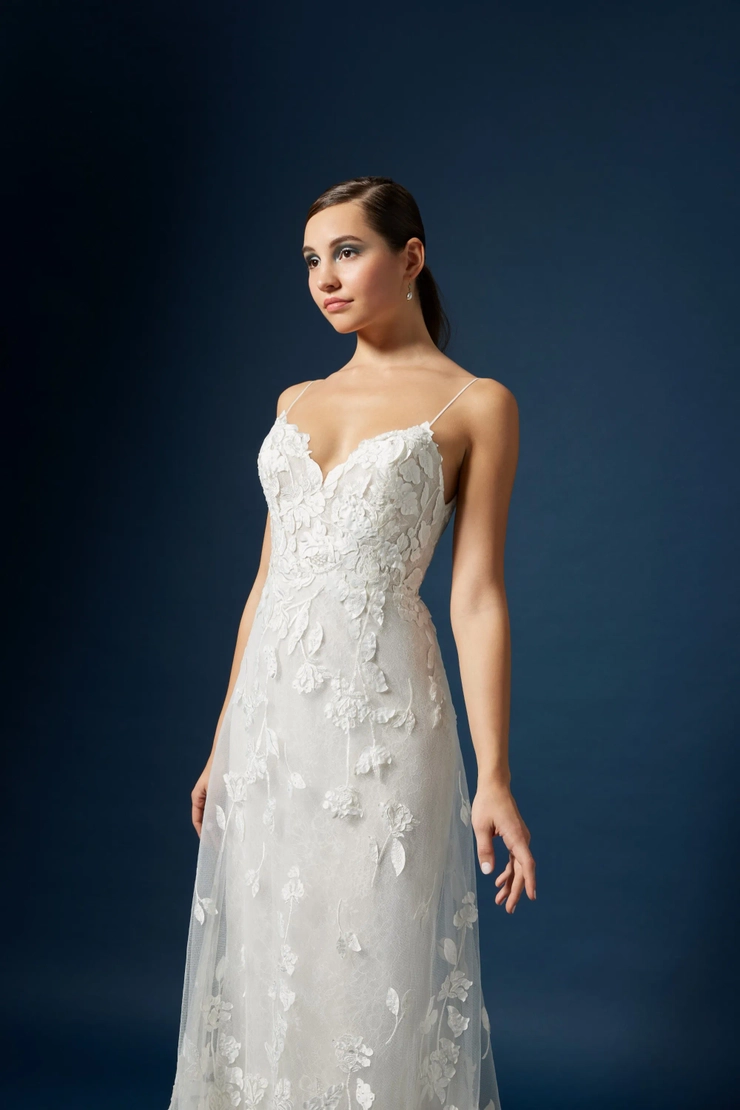 Lazaro 32304