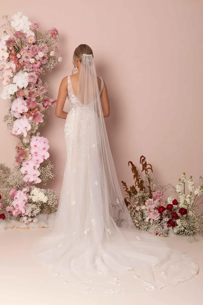 v3462_1.670.webp v3462_1.670.webp