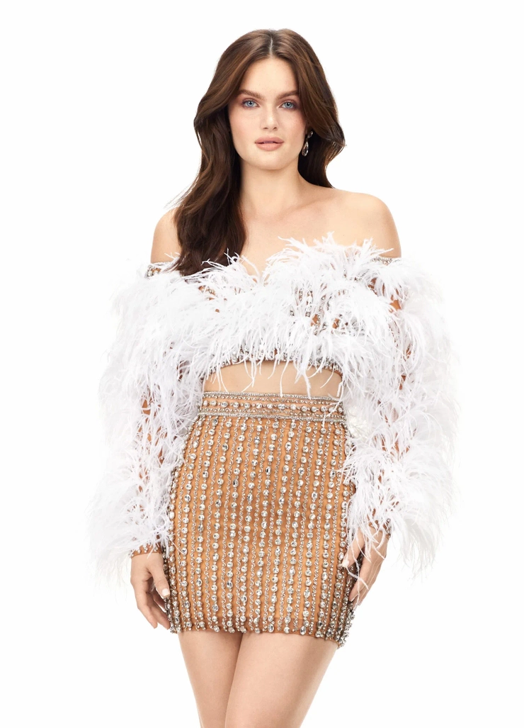 Ashley Lauren Style #4562 Two Piece Beaded Cocktail with Feathers #1 frontface vertical picture