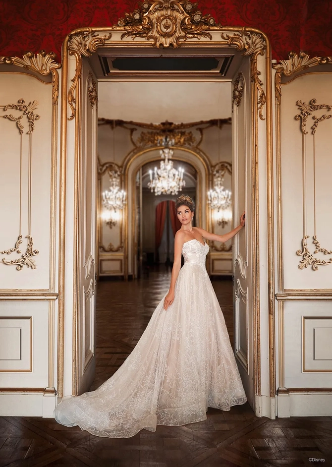 d363__-cinderella-01.670.webp