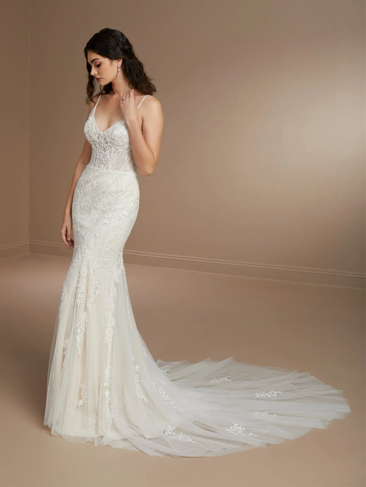 Christina Wu Brides Style #15851 #1 frontface vertical picture