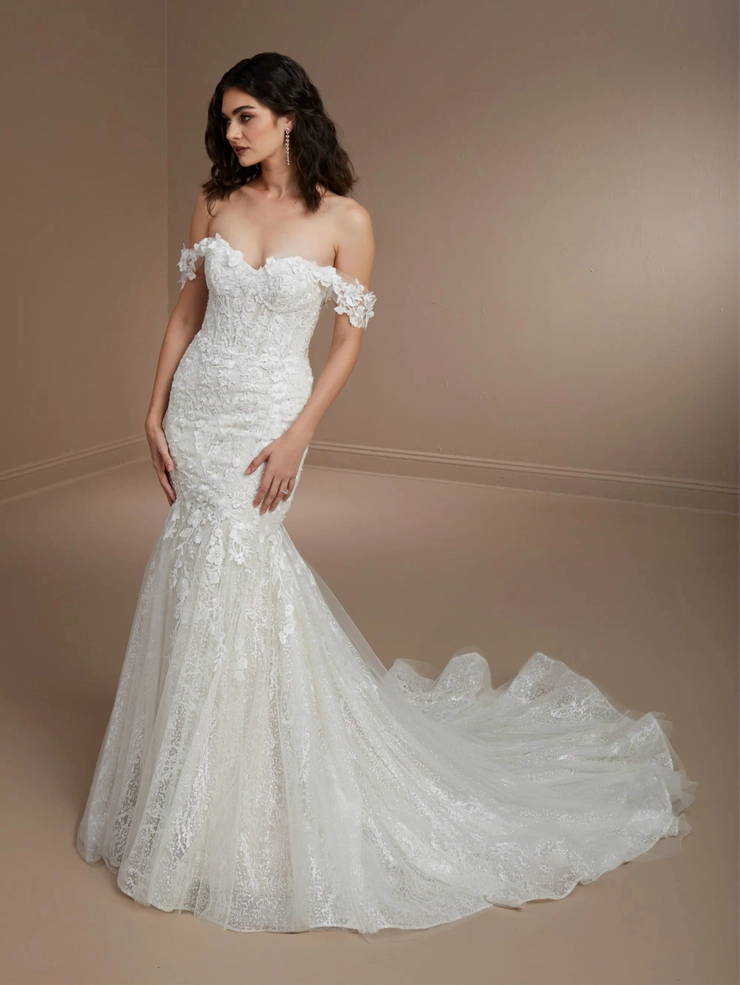 Christina Wu Brides Style #15855 #1 frontface vertical picture