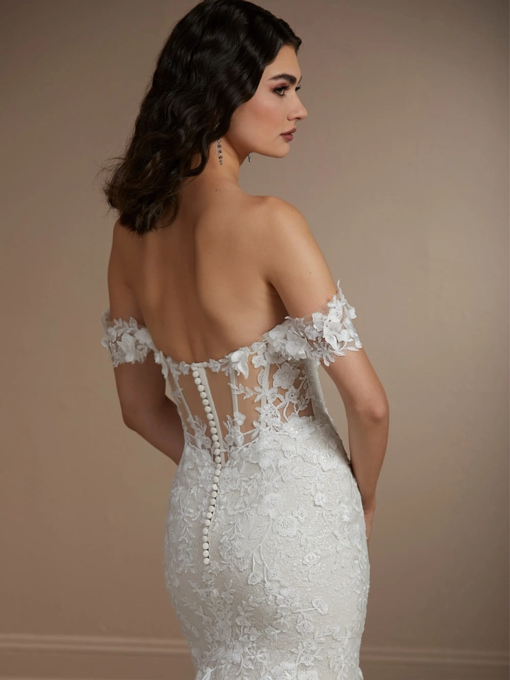 Christina Wu Brides Style #15855 #5 backface vertical cropped picture