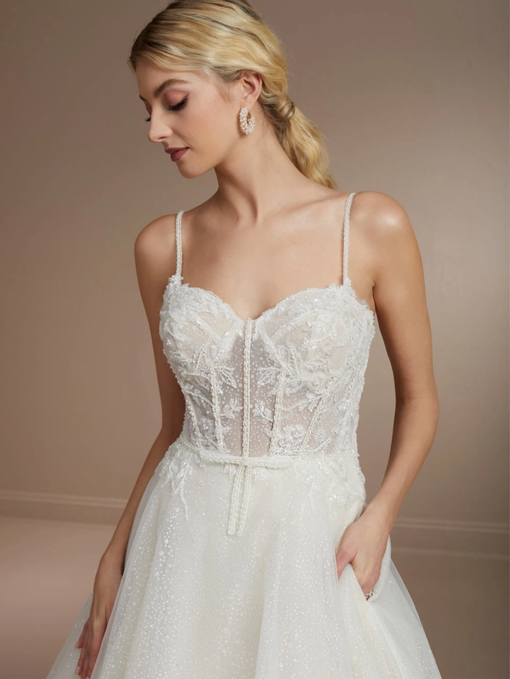 Christina Wu Brides Style #15860 #3 frontface vertical cropped picture