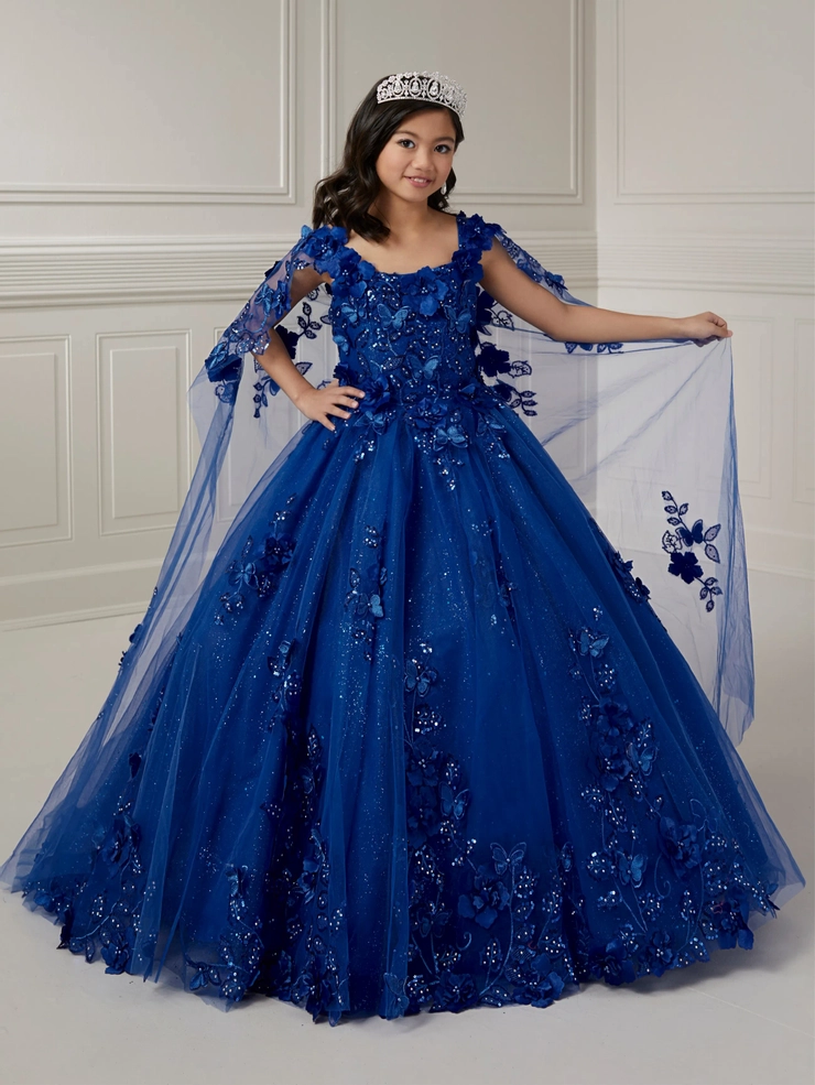 10 Years After～PRINCESS PRINCESS Premiu… Tiffany Princess - 13731 | Regiss