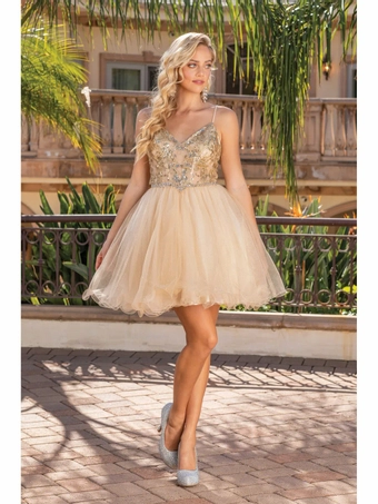Dancing Queen 3337 #0 default frontface vertical thumbnail